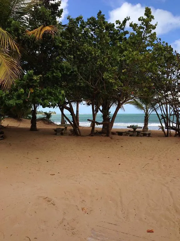 Beach Front Apartment Rio Mar Puerto Rico Rio Grande