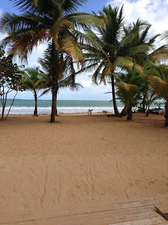 Beach Front Apartment Rio Mar Puerto Rico Rio Grande
