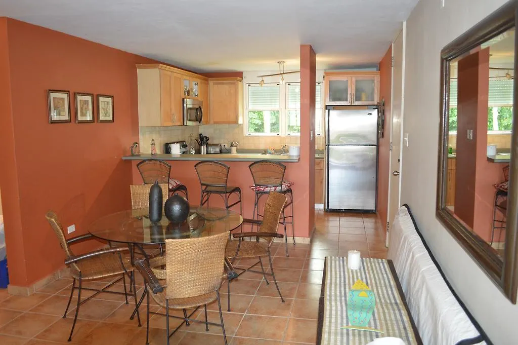 Beach Front Apartment Rio Mar Puerto Rico Rio Grande